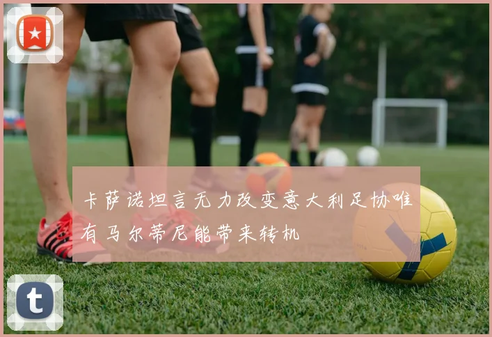 卡萨诺坦言无力改变意大利足协唯有马尔蒂尼能带来转机