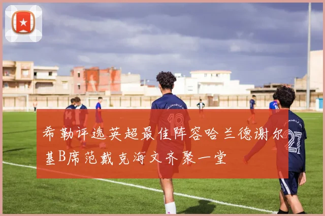 希勒评选英超最佳阵容哈兰德谢尔基B席范戴克海文齐聚一堂